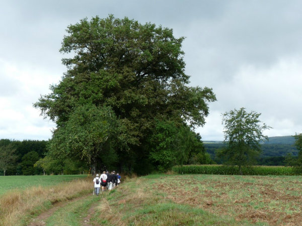 les dessus de La Vaivre