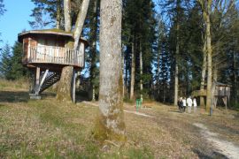 les cabanes perch\u00e9es