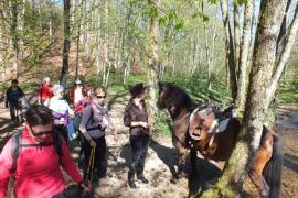 rencontre insolite au cours du parcours