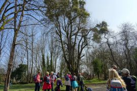 DSC05900