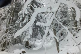 neige
