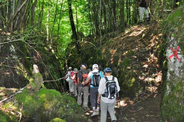 Descente dans le chaos