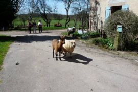 Habitants de Chapendu