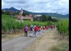 marche Ribeauvillé  29 juin 2014