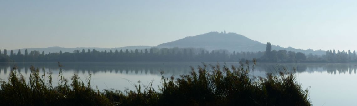 la motte dans la brume