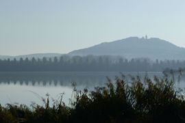 la motte dans la brume