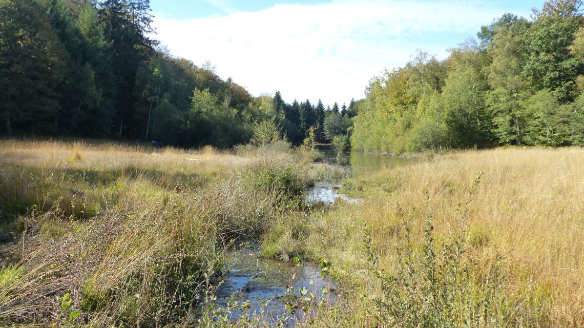 bout du lac de Bouzey