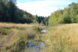 bout du lac de Bouzey