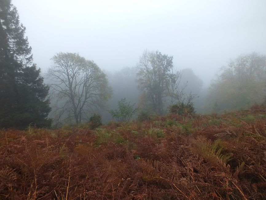 la vall\u00e9e de Rupt dans le brouillard