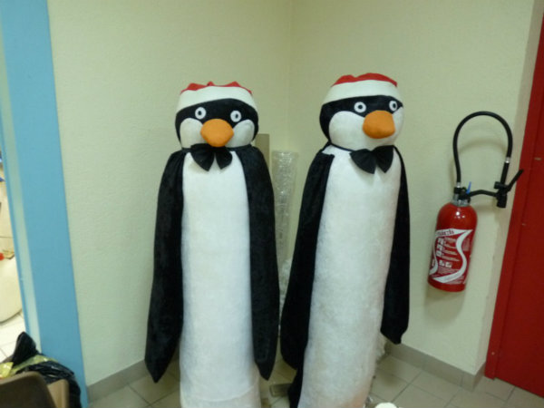 les pingouins
