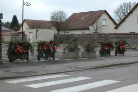 devant la salle d'automne