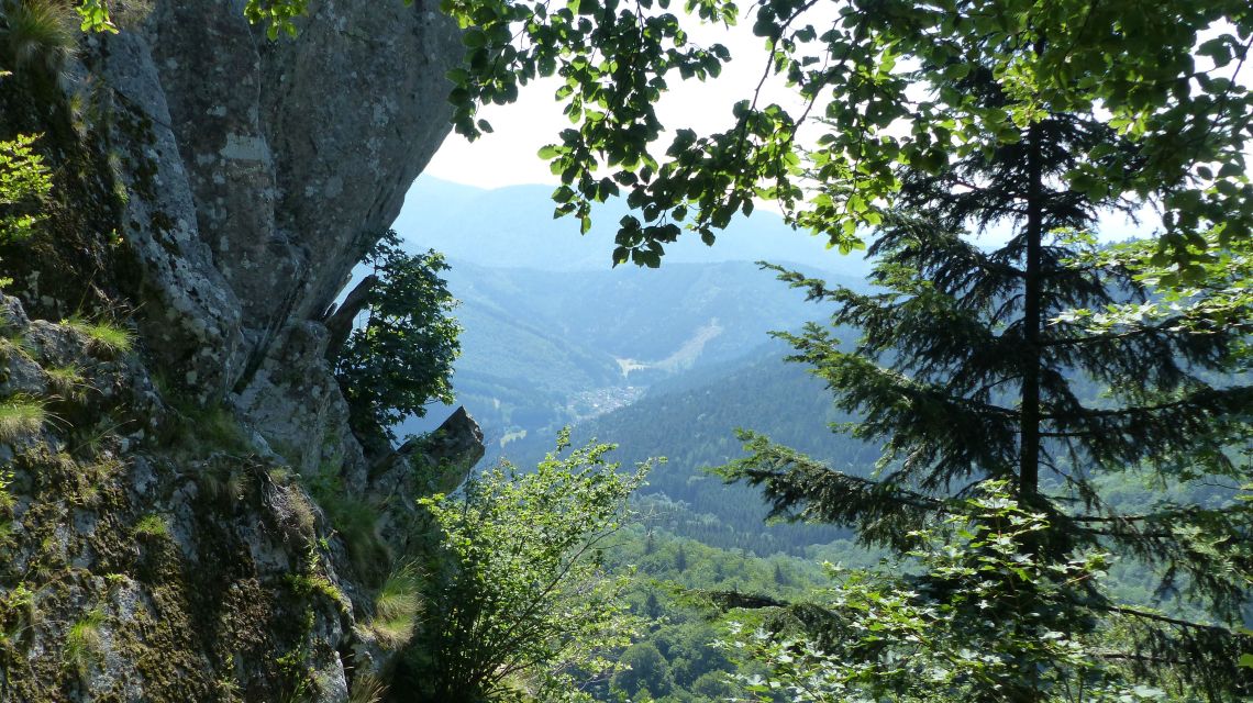 vue sur la plaine d'Alsace