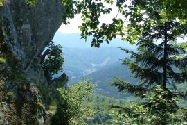 vue sur la plaine d'Alsace