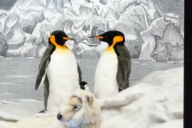 d\u00e9cos de No\u00ebl >> les pingouins