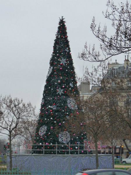 un grand sapin