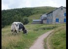 marche au sentier des roches le 9 juillet 2015