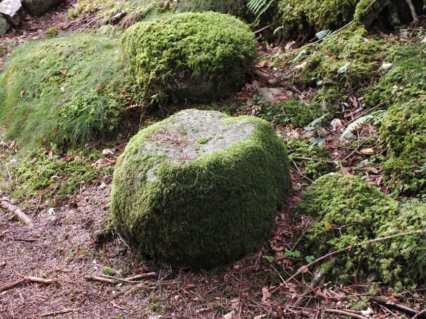 pouf naturel